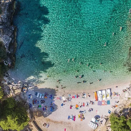 Apartman Lovely In With Wifi