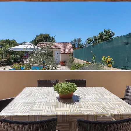 Amazing In Apartmán